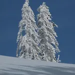 Apartmanhotel Und Sonneck Feldberg