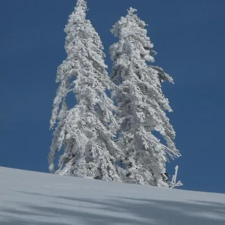 Ξενοδοχείο με διαμερίσματα Und Sonneck Feldberg (Baden-Wurttemberg)