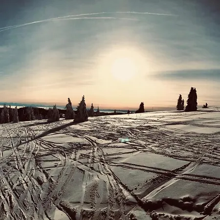 Und Sonneck Aparthotel Feldberg (Baden-Wurttemberg)